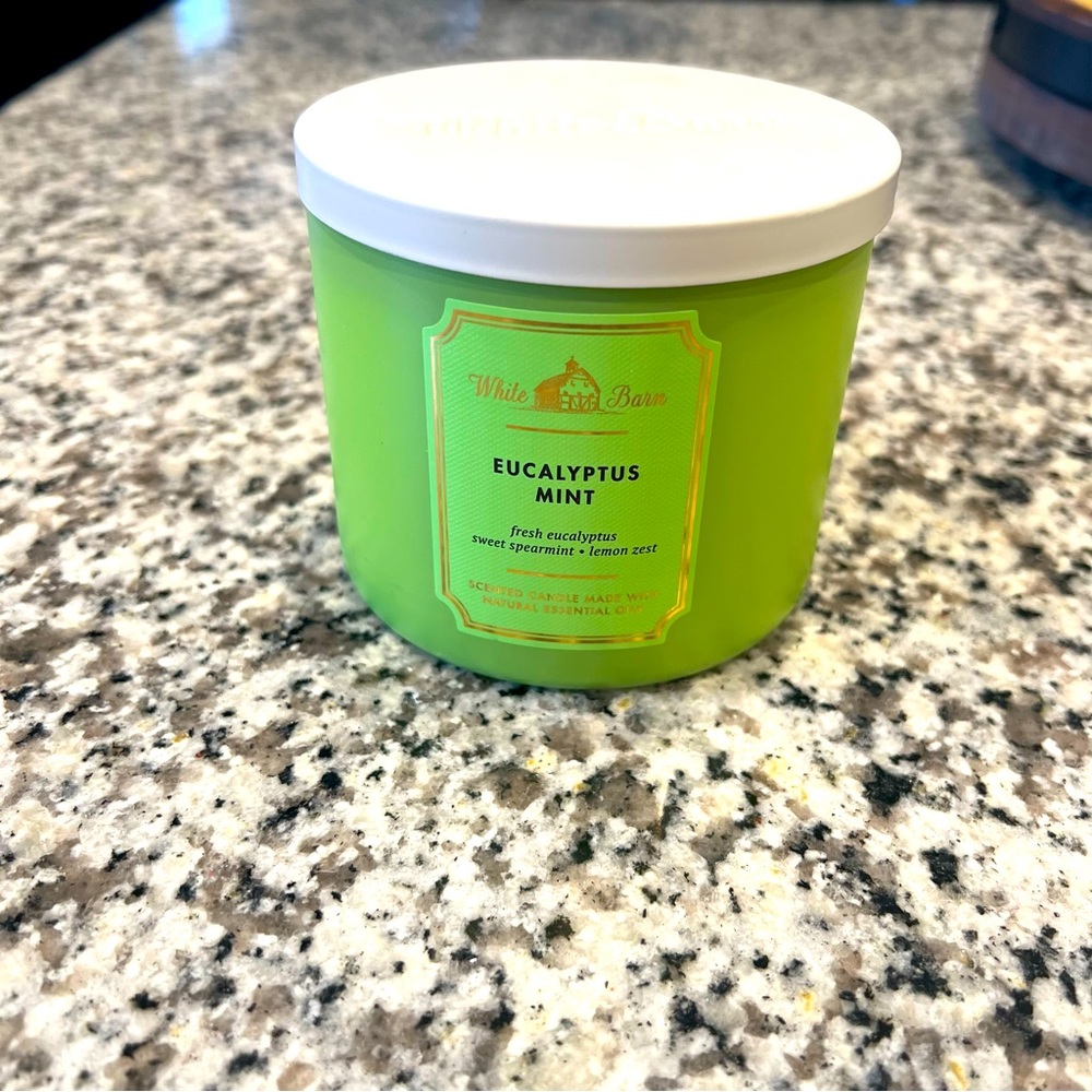 Bath & Body Works Eucalyptus Mint Candle